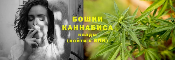 прущие крисы Вяземский