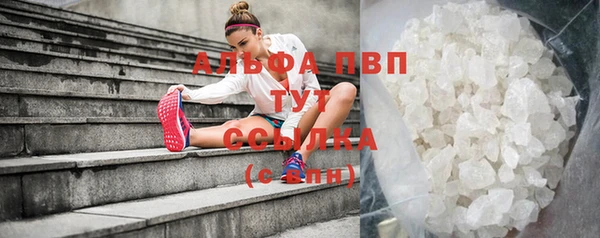 прущие крисы Вяземский