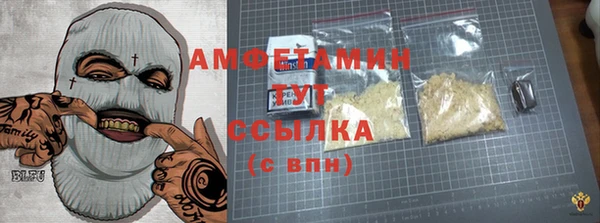 прущие крисы Вяземский
